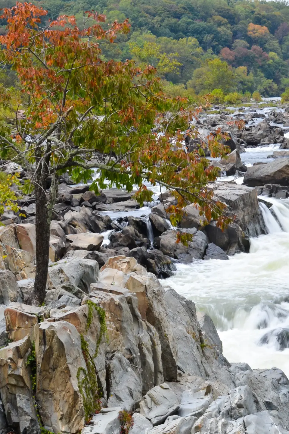 Private Northern Virginia limo service for City Transfers